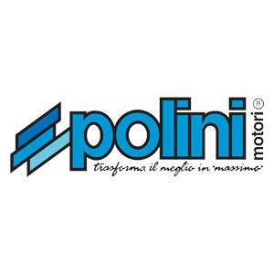 logo polini