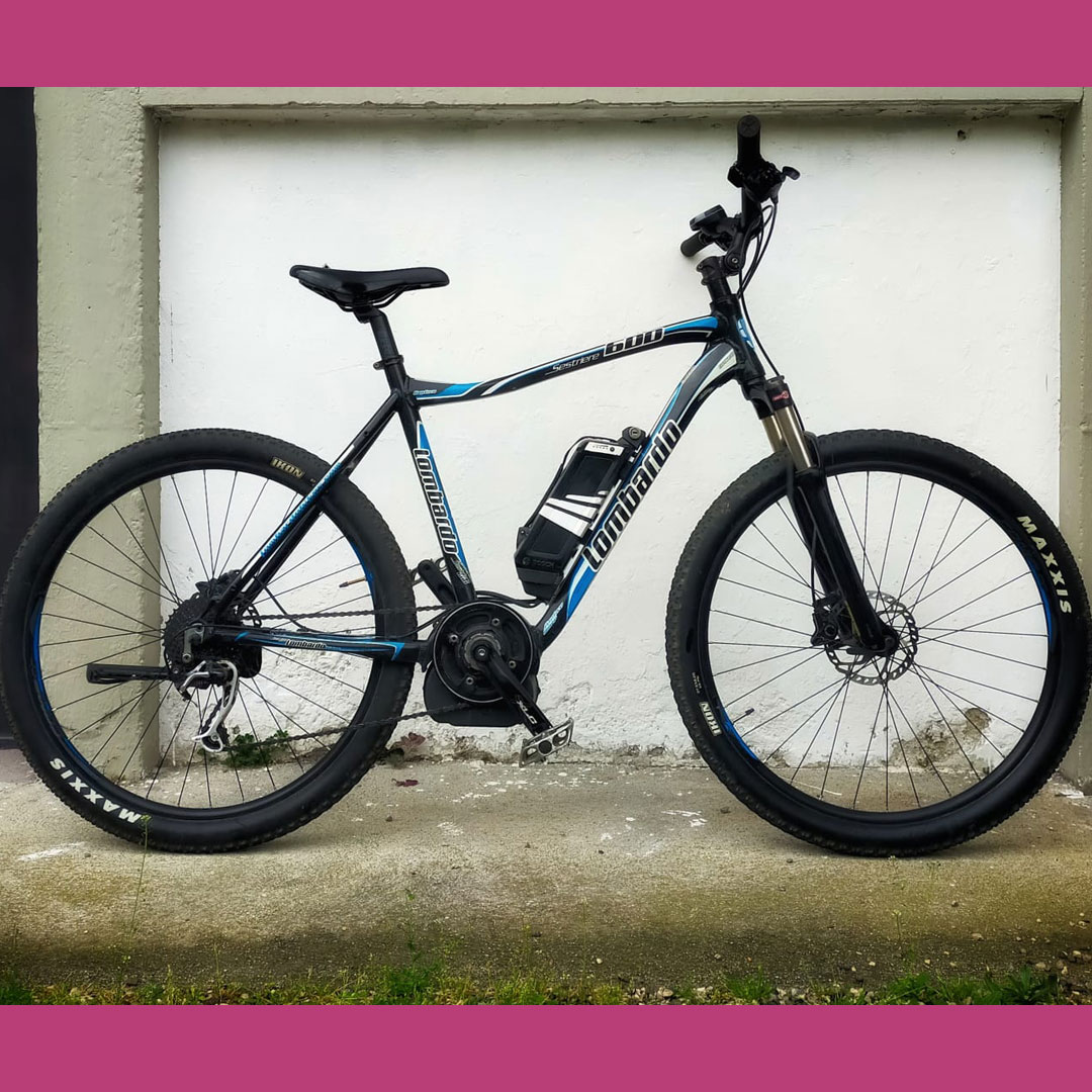 E-bike Lombardo - Usato Udine